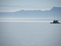 Bering Strait Crossing 168